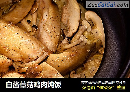 白酱蕈菇鸡肉炖饭