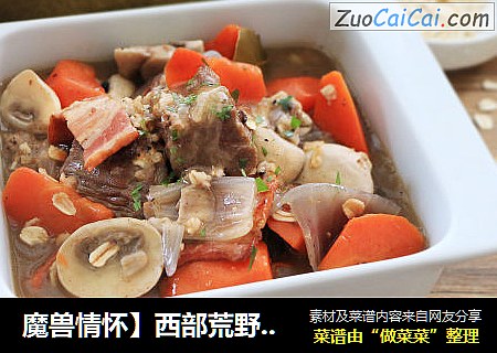 魔兽情怀］西部荒野炖肉