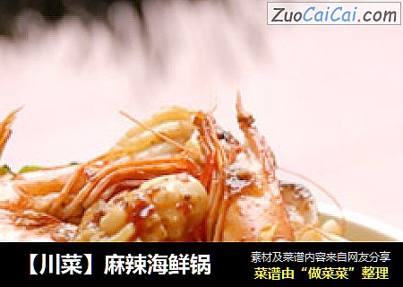 【川菜】麻辣海鲜锅