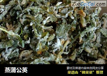 蒸蒲公英