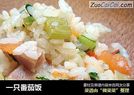 一只番茄饭