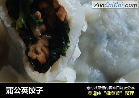 蒲公英饺子