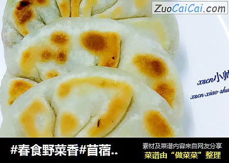 #春食野菜香#苜蓿胡萝卜肉饼