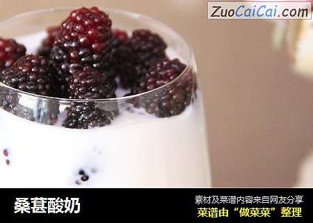 桑葚酸奶