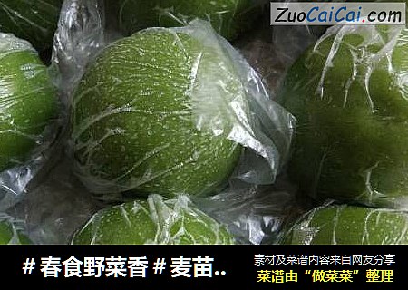麦苗青团