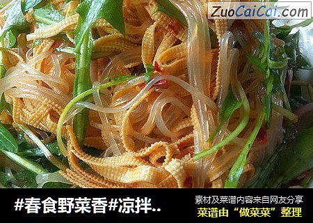 #春食野菜香#凉拌蒲公英