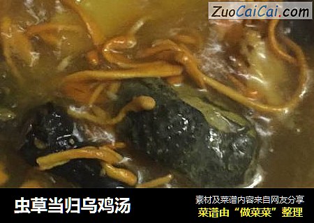 虫草当归乌鸡汤