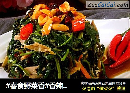#春食野菜香#香辣枸杞头