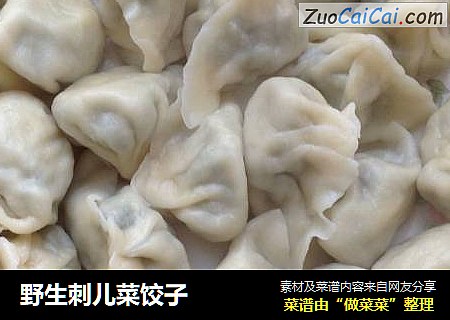 野生刺儿菜饺子