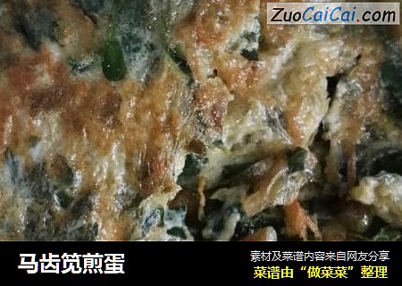 马齿笕煎蛋