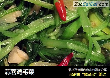 蒜蓉鸡毛菜