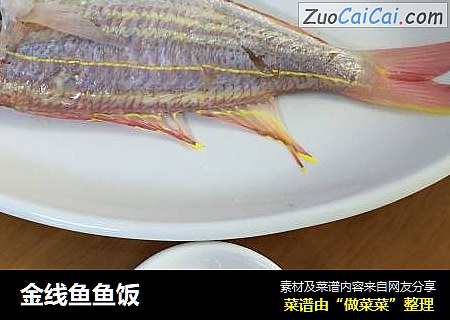 金线鱼鱼饭