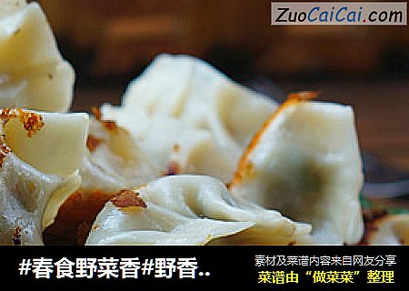 #春食野菜香#野香芹煎饺