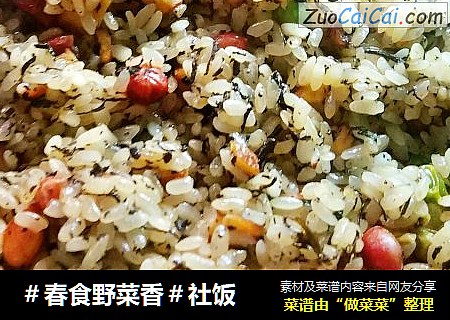 ＃春食野菜香＃社饭
