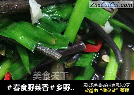 乡野气息之韭菜炒蕨