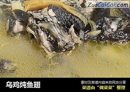 乌鸡炖鱼翅