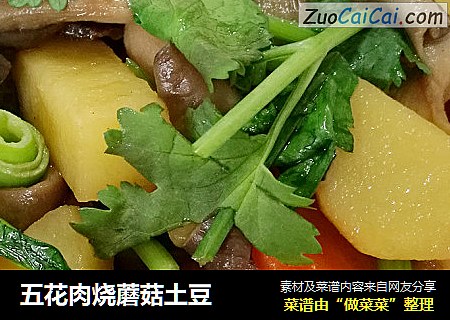五花肉烧蘑菇土豆