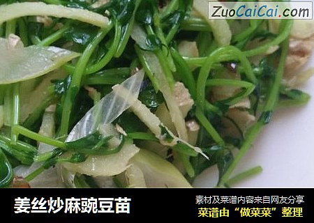 姜丝炒麻豌豆苗