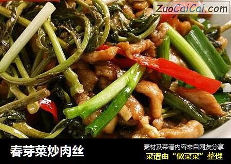 春芽菜炒肉丝