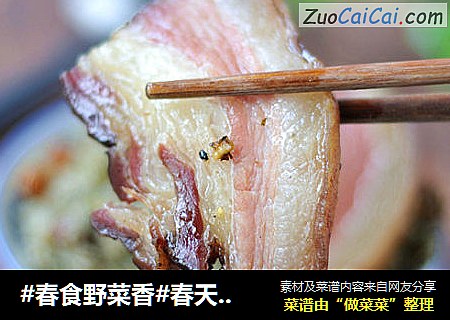 #春食野菜香#春天最美味的社饭