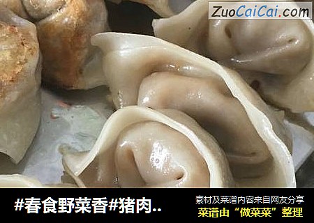 #春食野菜香#猪肉荠菜馄饨