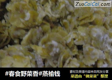 #春食野菜香#蒸榆钱