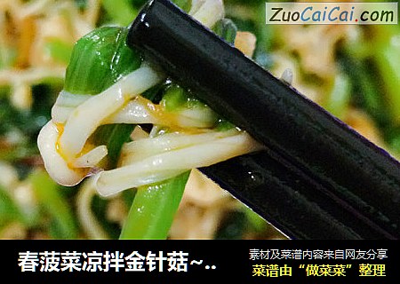 春菠菜凉拌金针菇~辣菠菜拌金针菇