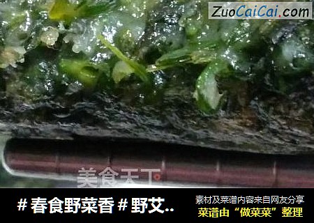 ＃春食野菜香＃野艾粑粑唇齿留香
