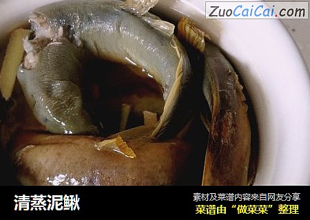 清蒸泥鳅