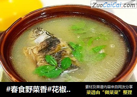 #春食野菜香#花椒叶炖鲫鱼汤