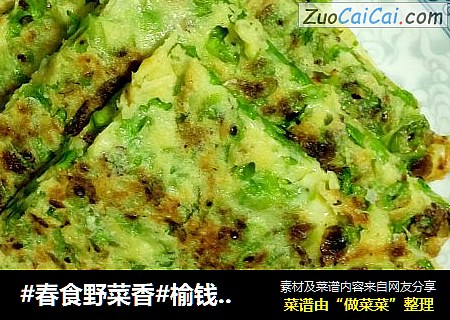 #春食野菜香#榆钱咸食