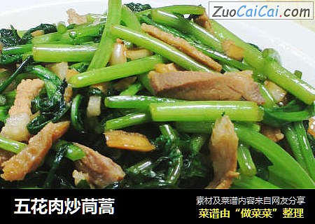 五花肉炒茼蒿 