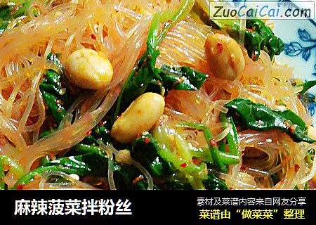 麻辣菠菜拌粉丝