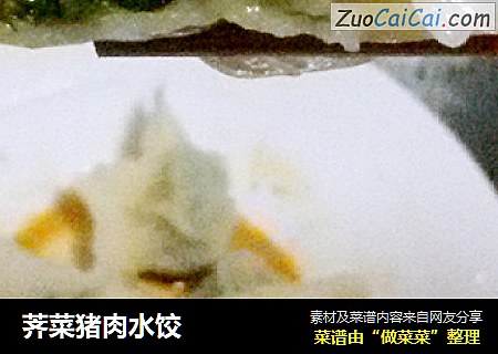 荠菜猪肉水饺