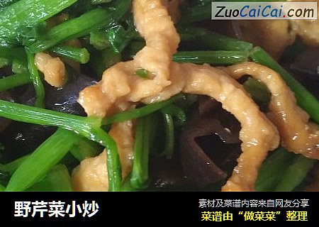 野芹菜小炒