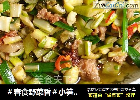 ＃春食野菜香＃小笋酸菜炒肉泥