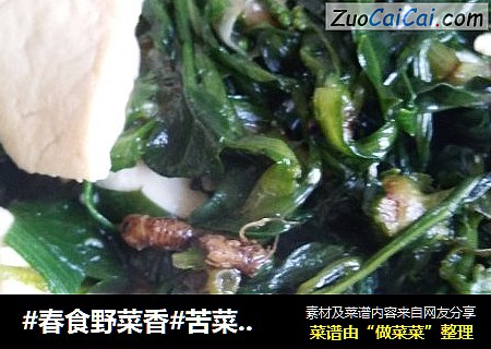 苦菜炖豆腐