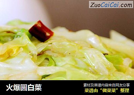 火爆圆白菜