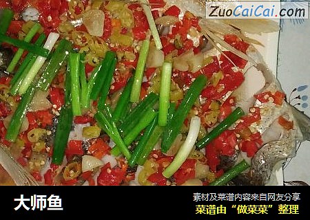 大师鱼