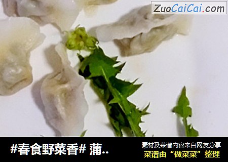 #春食野菜香# 蒲公英猪肉饺子