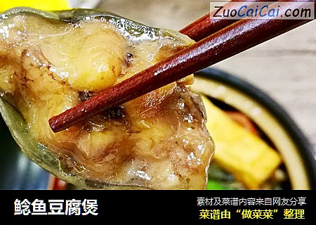 鲶鱼豆腐煲