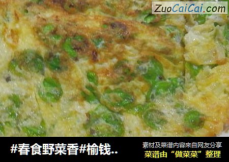 #春食野菜香#榆钱鸡蛋饼