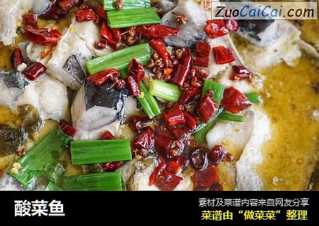 酸菜鱼