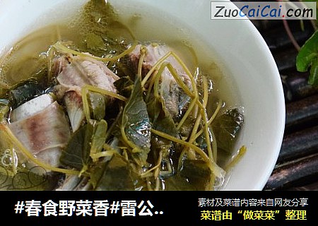 雷公根排骨汤