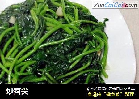 炒苕尖