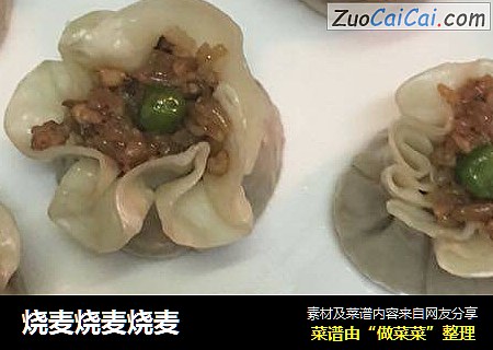 烧麦烧麦烧麦