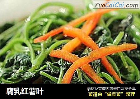 腐乳红薯叶