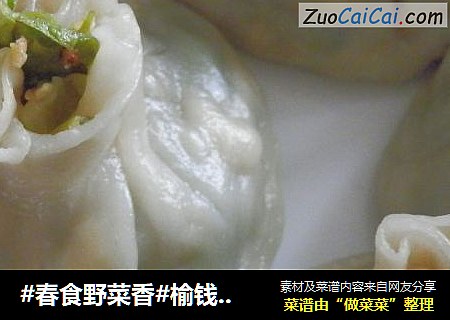 #春食野菜香#榆钱烧麦