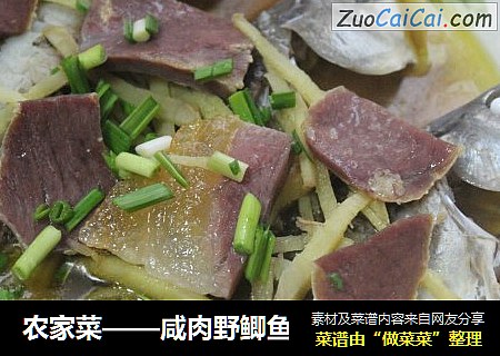 农家菜——咸肉野鲫鱼