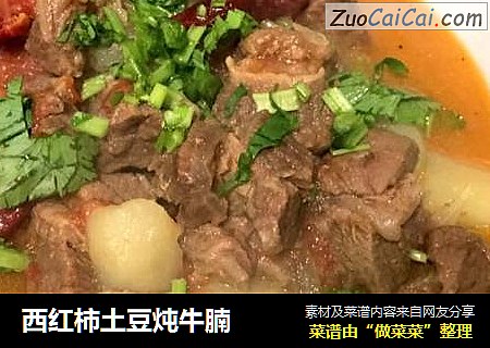 西红柿土豆炖牛腩